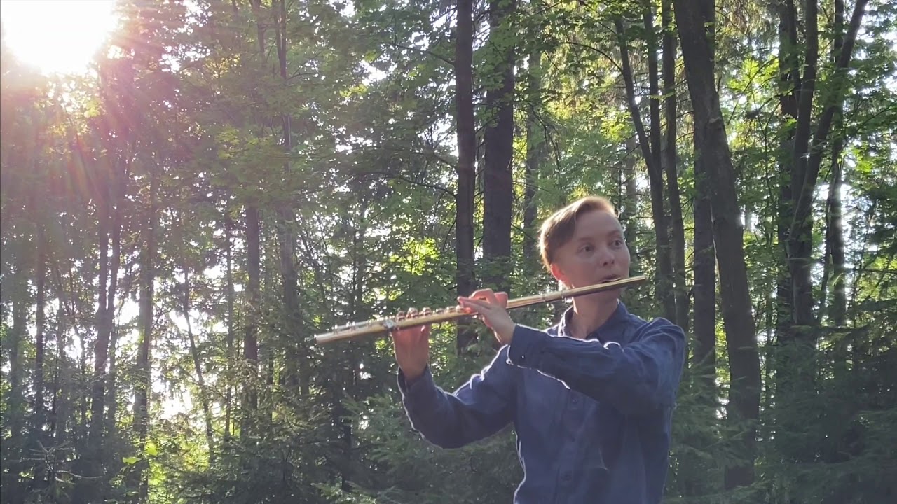 Tein minä pillin pajupuusta / Saara Lehtonen, huilu