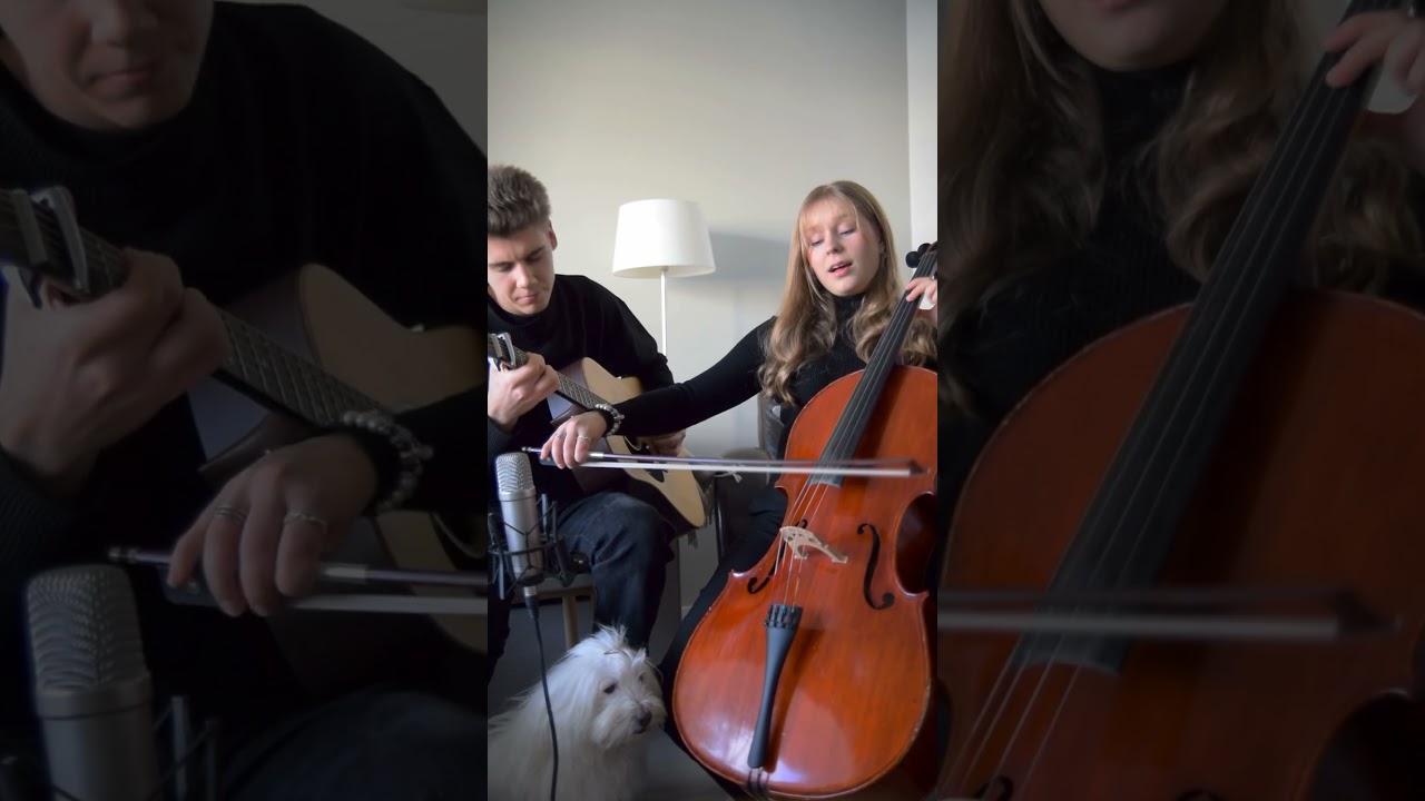 Vidál – häävideo